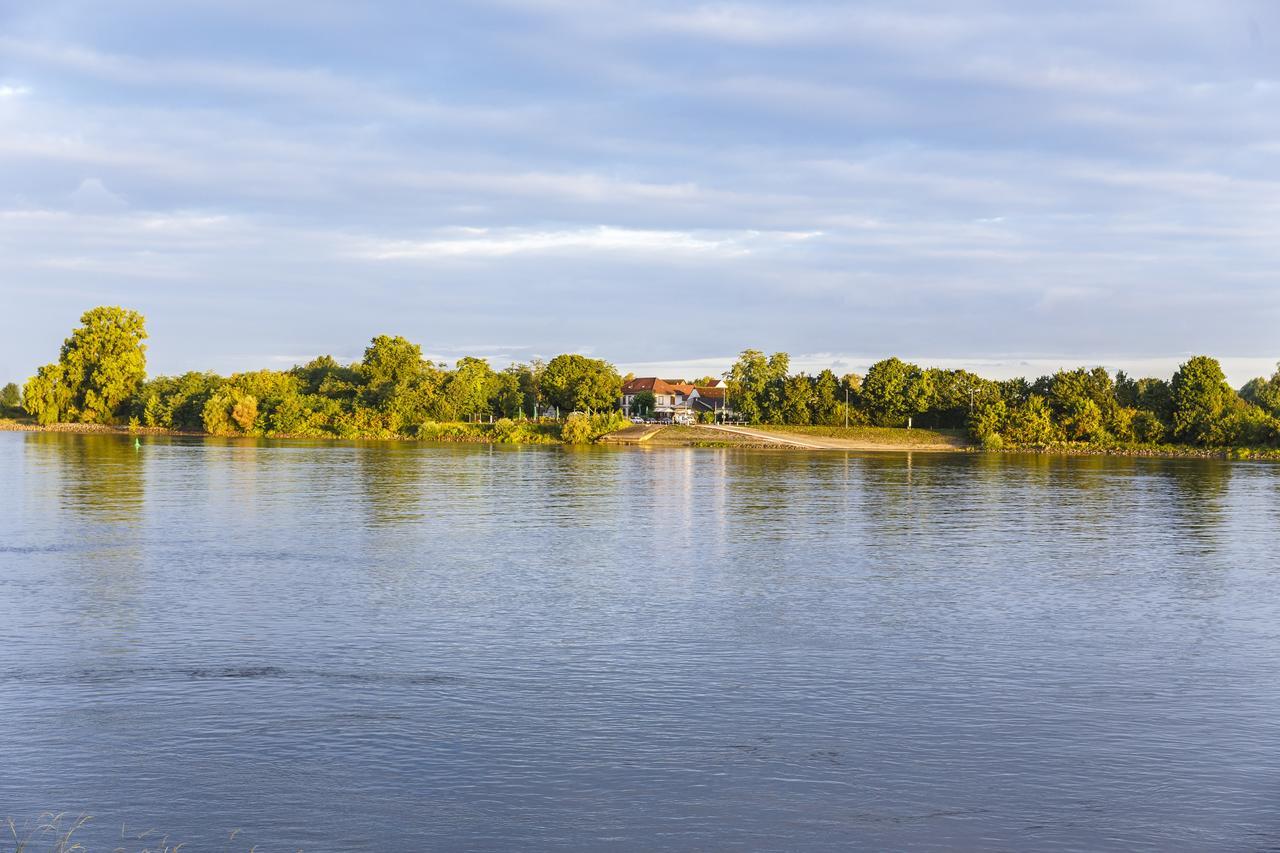 Hotel Rheingold Gernsheim Bagian luar foto
